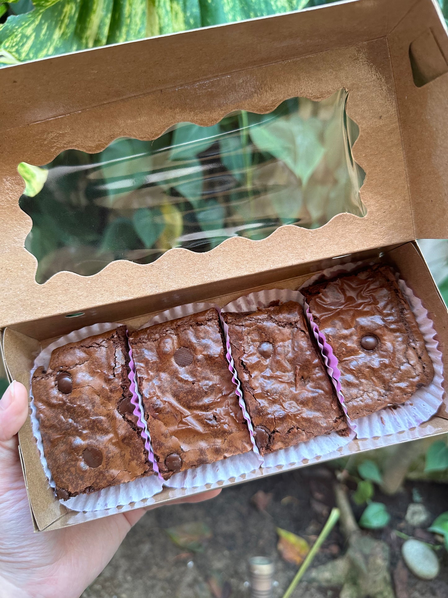 nutella brownies (box of 4)