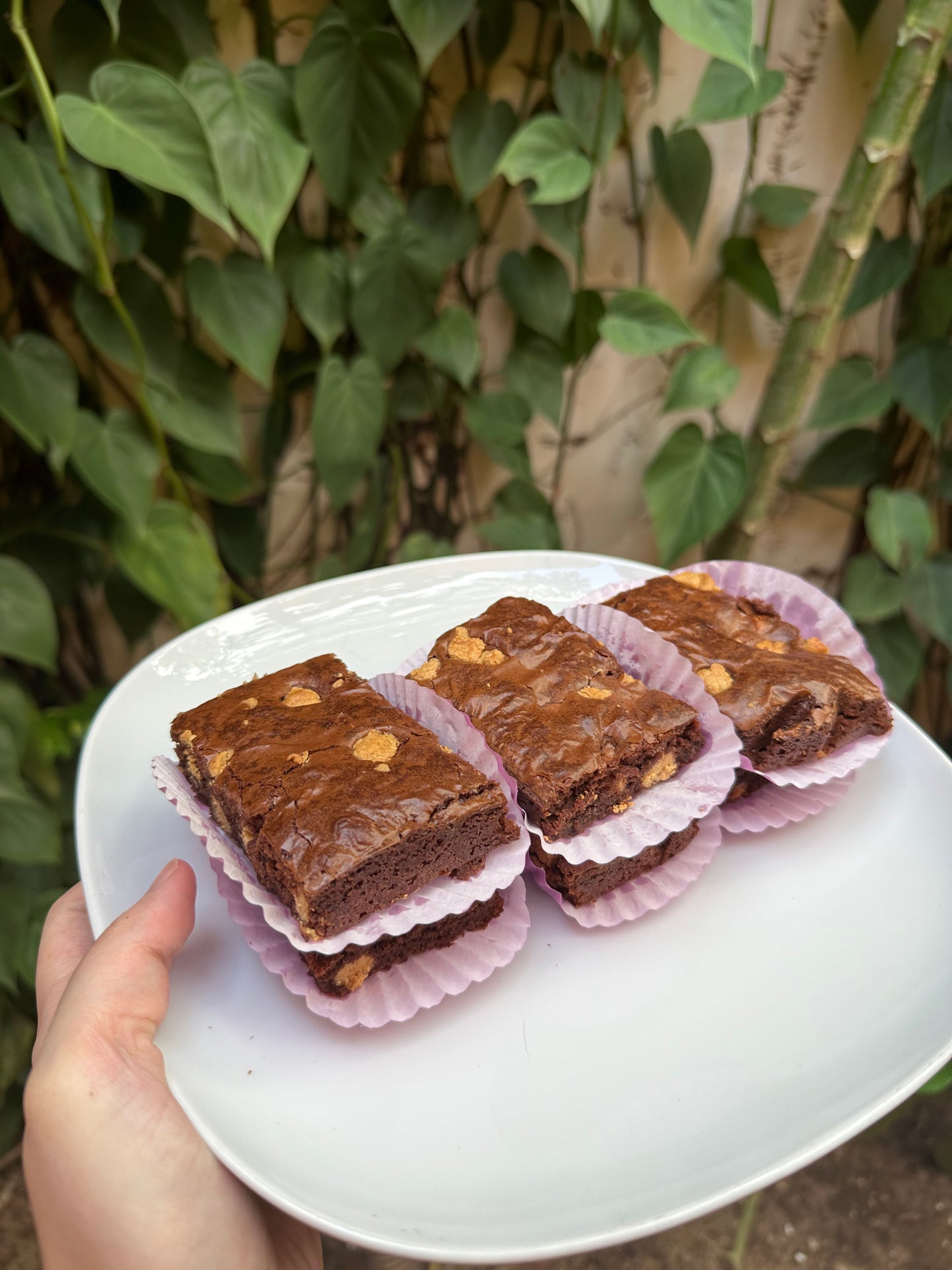 peanut butter brownies (box of 6)