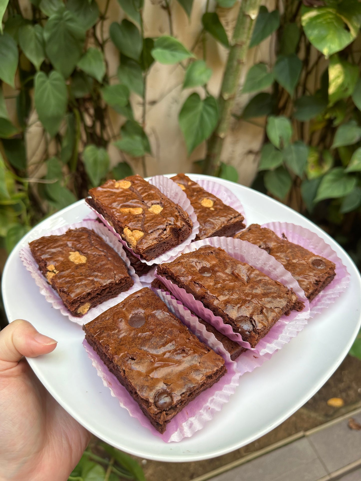 mixed brownies (box of 8)